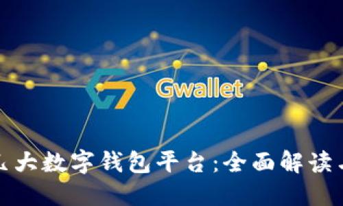 全球几大数字钱包平台:全面解读与比较
