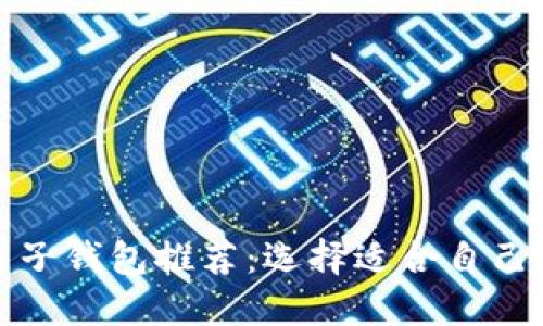 数字货币电子钱包推荐:选择适合自己的最佳选项