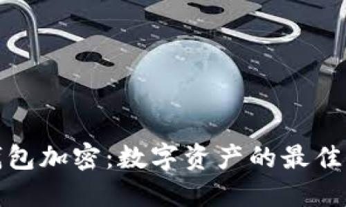 安全冷硬件钱包加密:数字资产的最佳保护解决方案