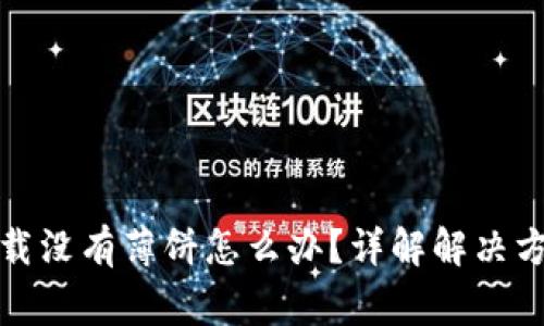 tpwallet新下载没有薄饼怎么办？详解解决方案与常见问题
