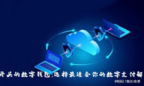 探索B开头的数字钱包:选择最适合你的数字支付解决方案