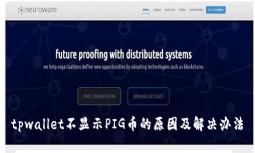 tpwallet不显示PIG币的原因及解决办法