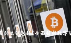 存放数字货币用什么钱包好？全面解析