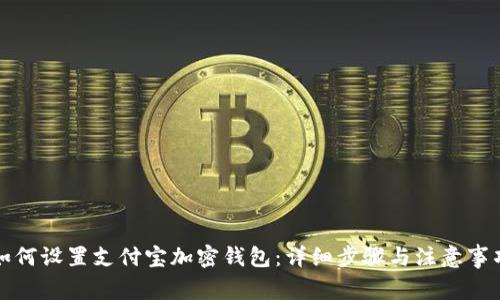 如何设置支付宝加密钱包:详细步骤与注意事项