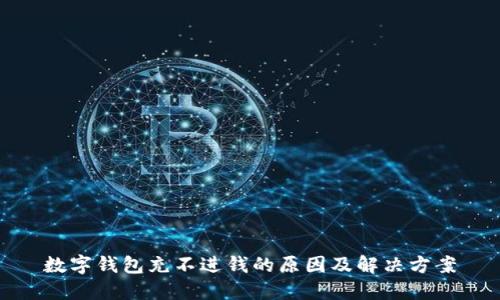 数字钱包充不进钱的原因及解决方案