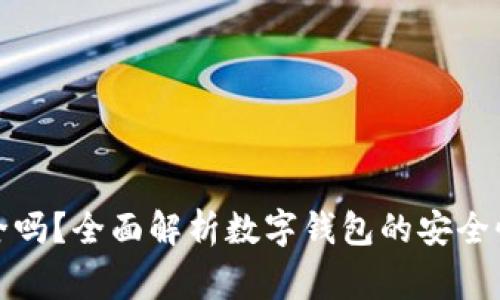 数字钱包下载安全吗?全面解析数字钱包的安全性及使用注意事项