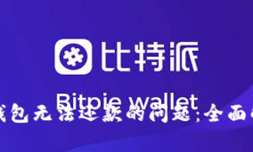 如何解决数字钱包无法还款的问题:全面解析与解决方案