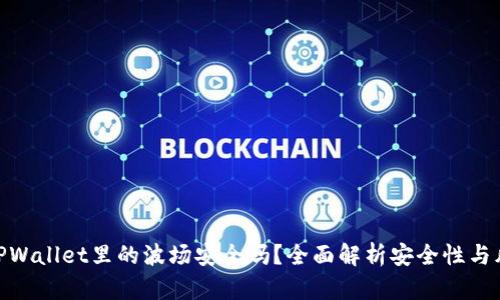 : TPWallet里的波场安全吗?全面解析安全性与风险