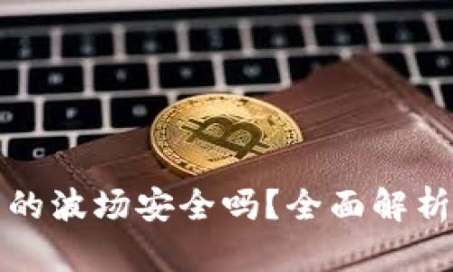 : TPWallet里的波场安全吗?全面解析安全性与风险