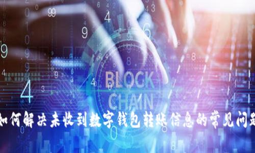 如何解决未收到数字钱包转账信息的常见问题