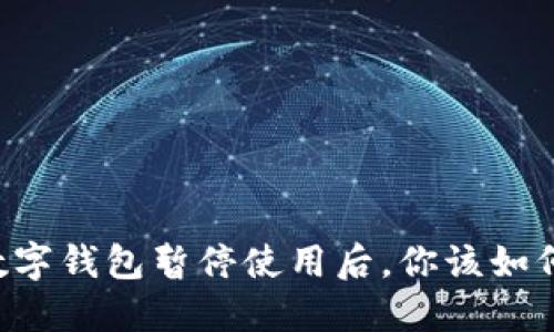 交通数字钱包暂停使用后,你该如何处理?