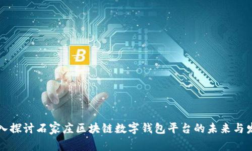 深入探讨石家庄区块链数字钱包平台的未来与发展