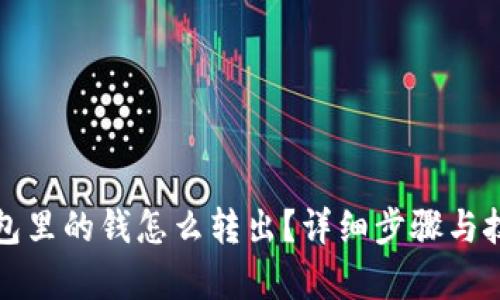 数字钱包里的钱怎么转出?详细步骤与技巧解析