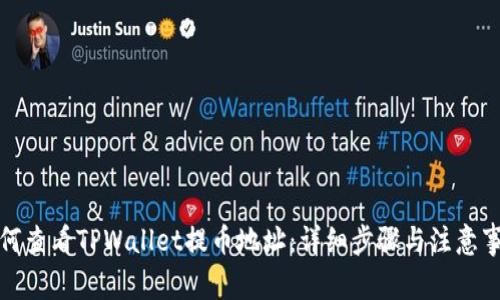 如何查看TPWallet提币地址：详细步骤与注意事项