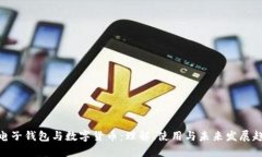 : 电子钱包与数字货币：理解、使用与
