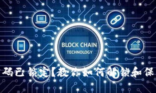 数字钱包密码已锁定？教你如何解锁和保护账户安全