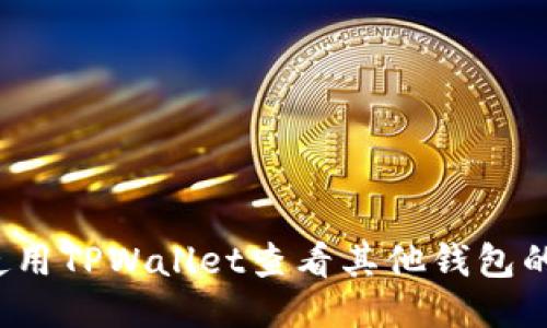 如何使用TPWallet查看其他钱包的余额？