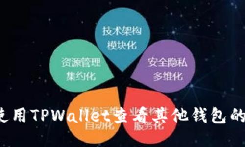 如何使用TPWallet查看其他钱包的余额？