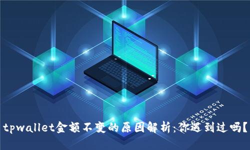 tpwallet金额不变的原因解析:你遇到过吗?