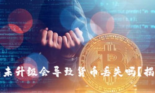 加密货币钱包未升级会导致货币丢失吗?揭秘背后的真相