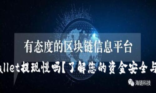 TPWallet提现慢吗？了解您的资金安全与效率