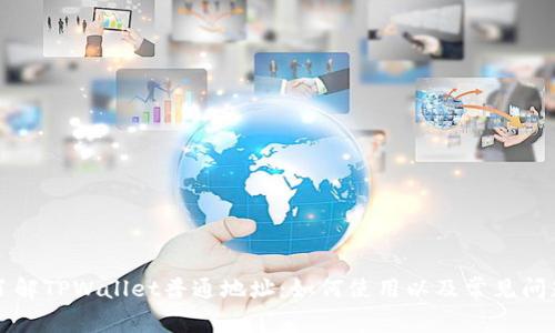 深入了解TPWallet普通地址：如何使用以及常见问题解析