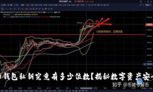 加密货币钱包私钥究竟有多少位数？揭秘数字资产安全的关键