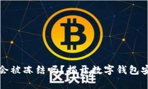 TP的钱包会被冻结吗？揭开数字钱包安全的真相