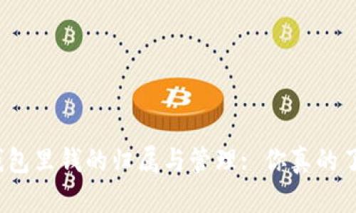 数字钱包里钱的归属与管理: 你真的了解吗？