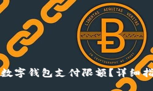 如何解除数字钱包支付限额？详细指南与技巧