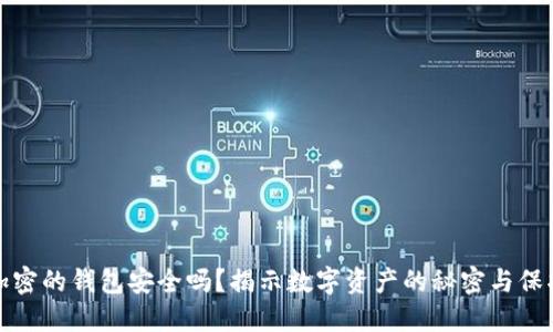 应用加密的钱包安全吗？揭示数字资产的秘密与保护策略