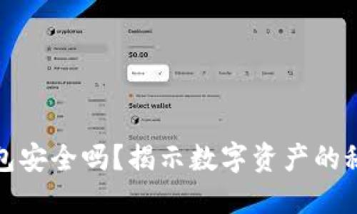 应用加密的钱包安全吗？揭示数字资产的秘密与保护策略