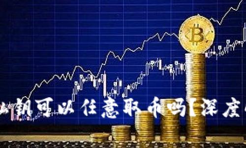 有TPWallet的私钥可以任意取币吗？深度解析私钥安全性