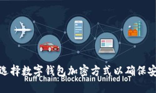 如何选择数字钱包加密方式以确保安全性