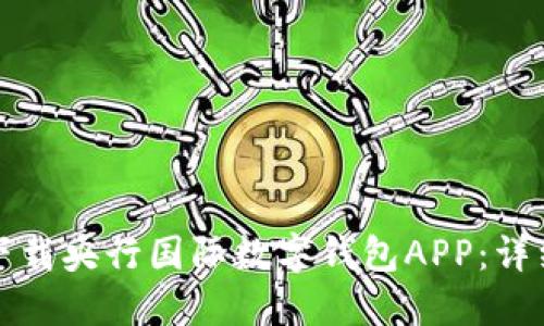 如何下载央行国际数字钱包APP：详细指南