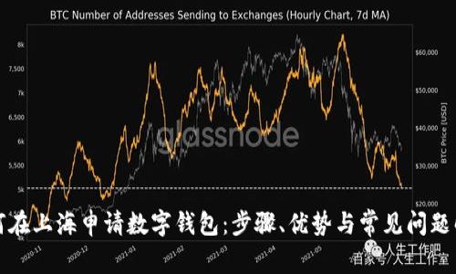如何在上海申请数字钱包：步骤、优势与常见问题解答