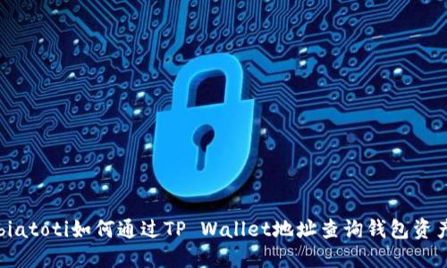 biatoti如何通过TP Wallet地址查询钱包资产