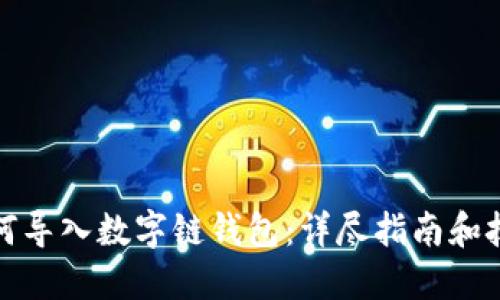 如何导入数字链钱包：详尽指南和技巧