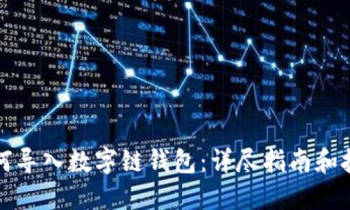 如何导入数字链钱包：详尽指南和技巧