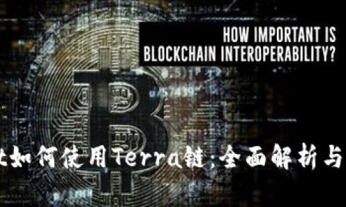 TPWallet如何使用Terra链：全面解析与实用指南