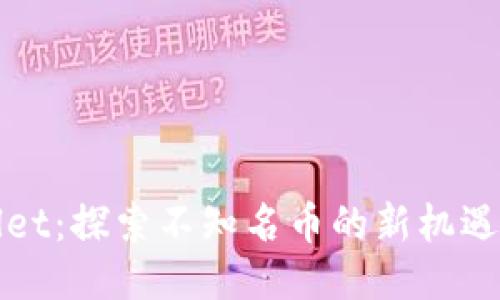 TPWallet：探索不知名币的新机遇与挑战