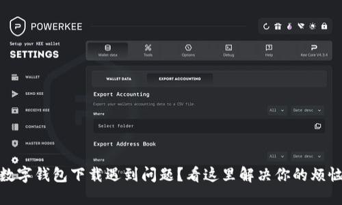 数字钱包下载遇到问题？看这里解决你的烦恼