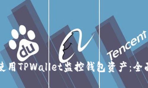 如何使用TPWallet监控钱包资产：全面指南