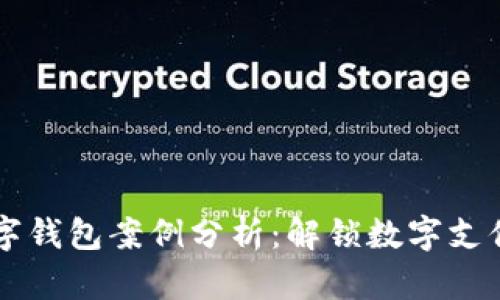 南安数字钱包案例分析：解锁数字支付的未来