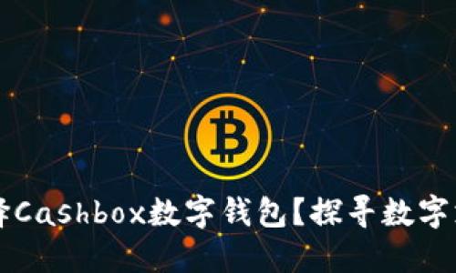 为什么选择Cashbox数字钱包？探寻数字支付的未来