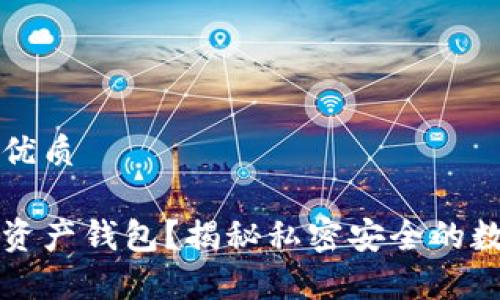 思考一个并且的优质

什么是私人数字资产钱包？揭秘私密安全的数字财富管理方式