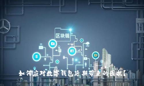 如何应对数字钱包延期带来的困扰？