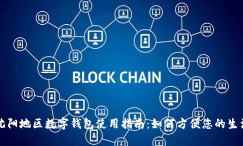 沈阳地区数字钱包使用指南：如何方便您的生活