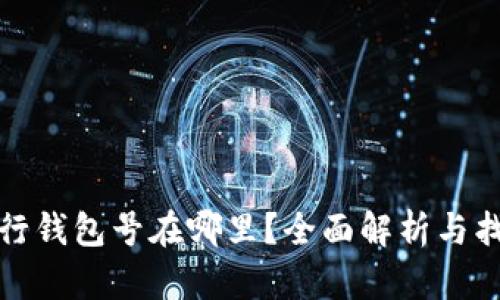 数字银行钱包号在哪里？全面解析与找寻技巧