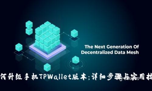 如何升级手机TPWallet版本：详细步骤与实用技巧